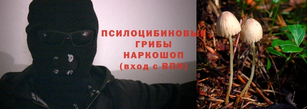 метадон Алексеевка