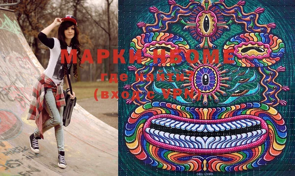 индика Аркадак